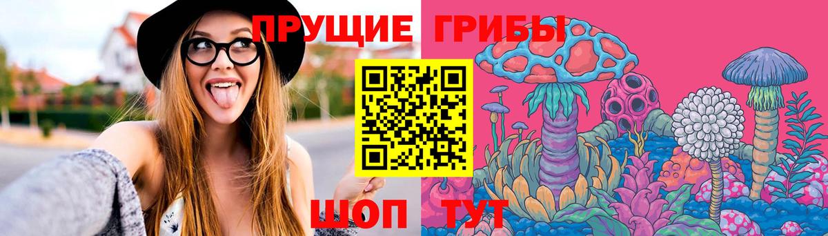 Ахтубинск  Галлюциногенные грибы Psilocybine cubensis  Вход с VPN 